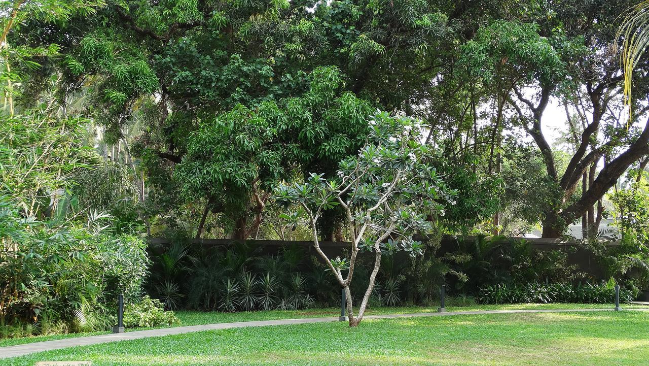 Andores Resort And Spa - Calangute Buitenkant foto